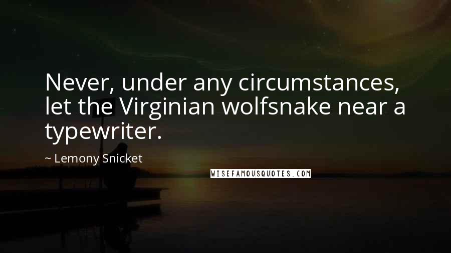 Lemony Snicket Quotes: Never, under any circumstances, let the Virginian wolfsnake near a typewriter.