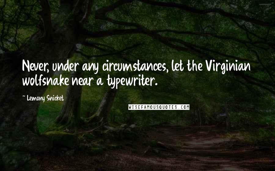 Lemony Snicket Quotes: Never, under any circumstances, let the Virginian wolfsnake near a typewriter.