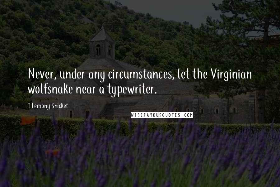 Lemony Snicket Quotes: Never, under any circumstances, let the Virginian wolfsnake near a typewriter.