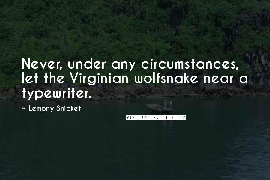 Lemony Snicket Quotes: Never, under any circumstances, let the Virginian wolfsnake near a typewriter.