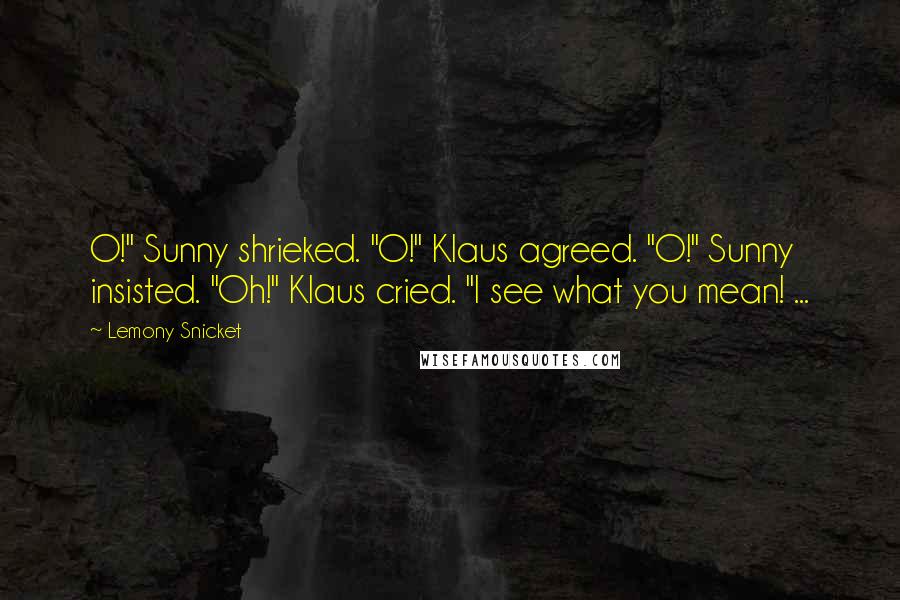 Lemony Snicket Quotes: O!" Sunny shrieked. "O!" Klaus agreed. "O!" Sunny insisted. "Oh!" Klaus cried. "I see what you mean! ...