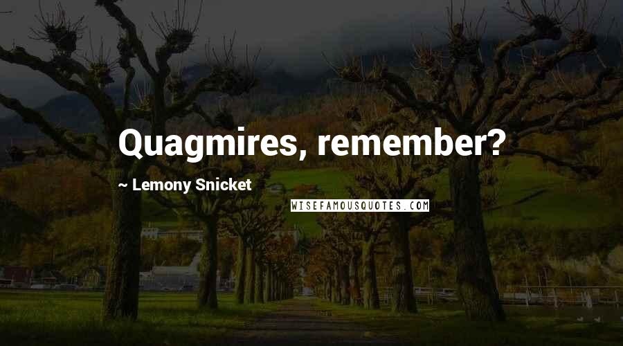 Lemony Snicket Quotes: Quagmires, remember?
