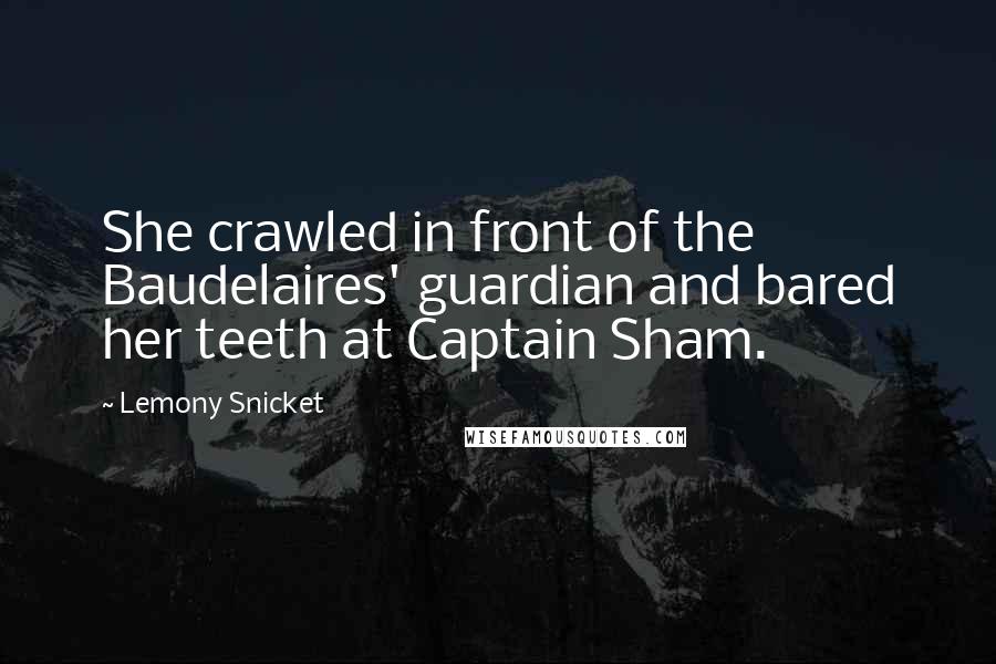 Lemony Snicket Quotes: She crawled in front of the Baudelaires' guardian and bared her teeth at Captain Sham.