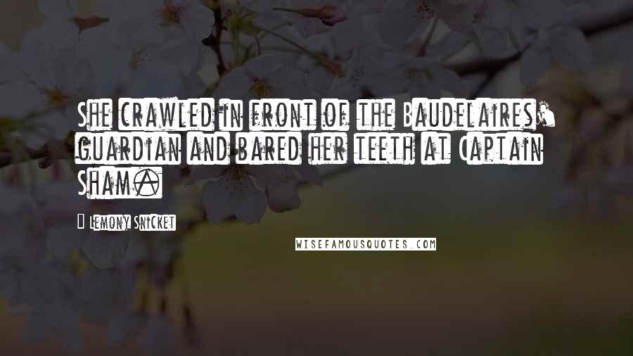 Lemony Snicket Quotes: She crawled in front of the Baudelaires' guardian and bared her teeth at Captain Sham.