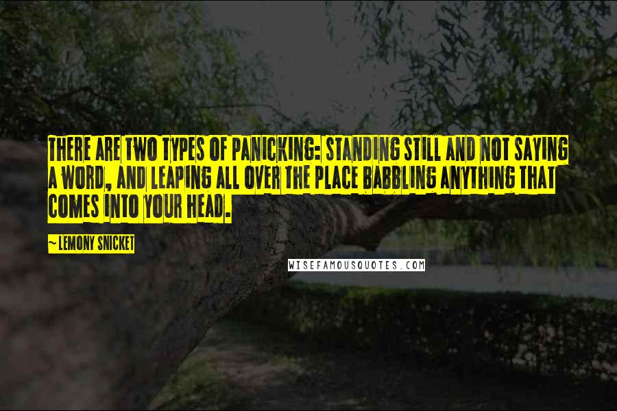 Lemony Snicket Quotes: There are two types of panicking: standing still and not saying a word, and leaping all over the place babbling anything that comes into your head.