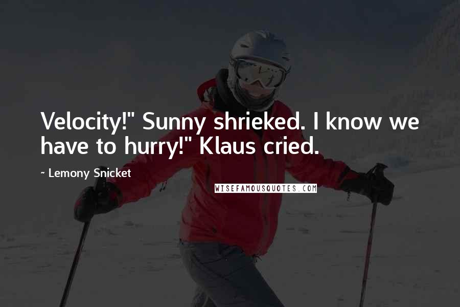 Lemony Snicket Quotes: Velocity!" Sunny shrieked. I know we have to hurry!" Klaus cried.