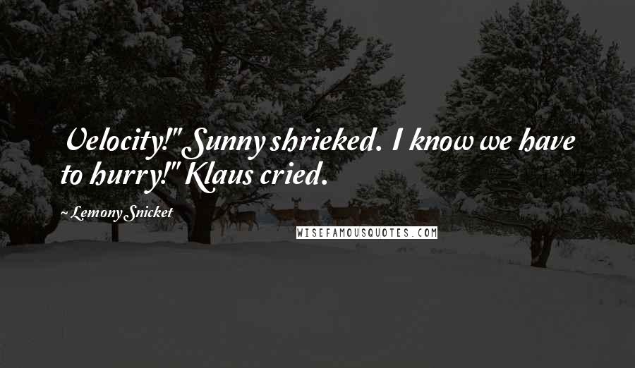 Lemony Snicket Quotes: Velocity!" Sunny shrieked. I know we have to hurry!" Klaus cried.