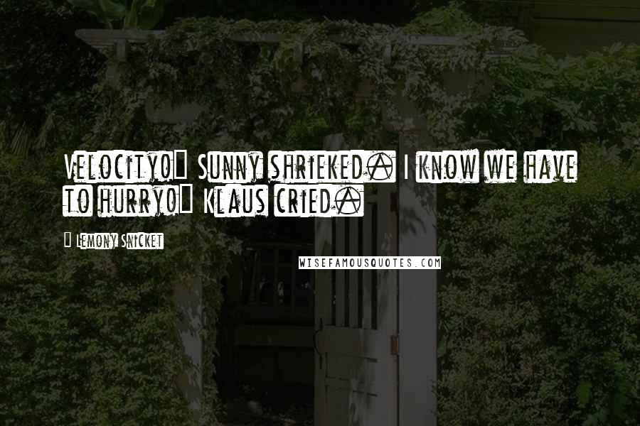 Lemony Snicket Quotes: Velocity!" Sunny shrieked. I know we have to hurry!" Klaus cried.