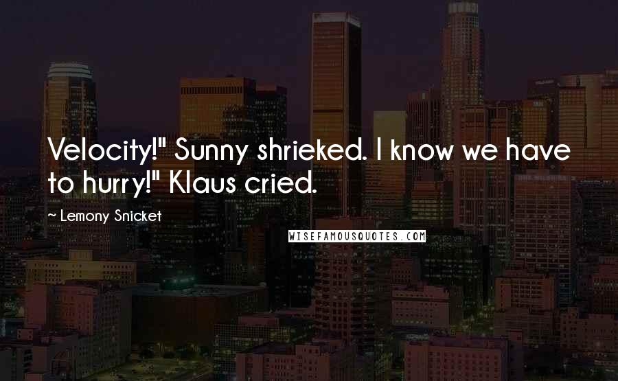 Lemony Snicket Quotes: Velocity!" Sunny shrieked. I know we have to hurry!" Klaus cried.