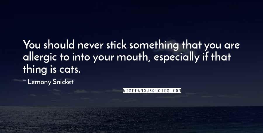 Lemony Snicket Quotes: You should never stick something that you are allergic to into your mouth, especially if that thing is cats.
