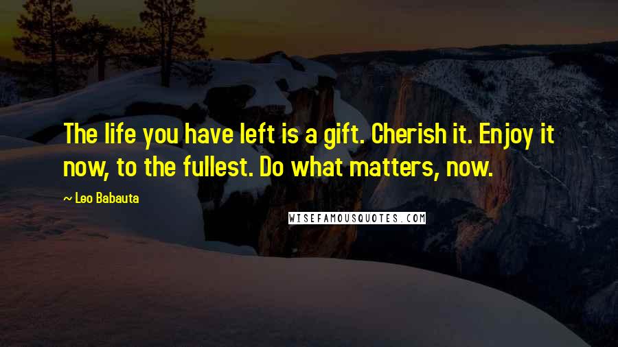 Leo Babauta Quotes: The life you have left is a gift. Cherish it. Enjoy it now, to the fullest. Do what matters, now.