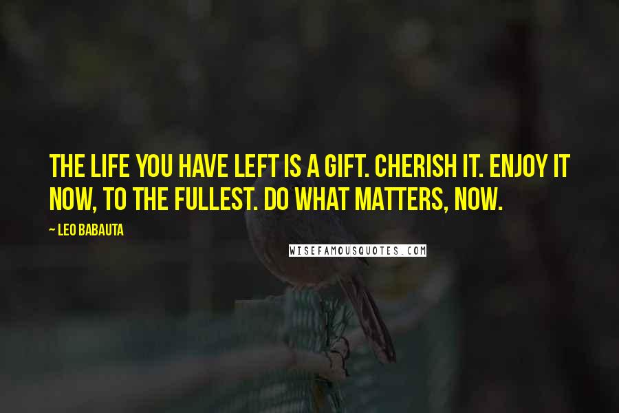Leo Babauta Quotes: The life you have left is a gift. Cherish it. Enjoy it now, to the fullest. Do what matters, now.