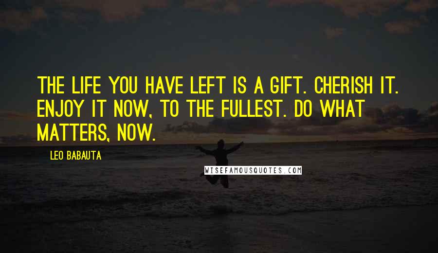 Leo Babauta Quotes: The life you have left is a gift. Cherish it. Enjoy it now, to the fullest. Do what matters, now.