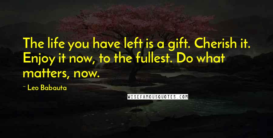 Leo Babauta Quotes: The life you have left is a gift. Cherish it. Enjoy it now, to the fullest. Do what matters, now.