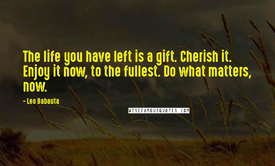 Leo Babauta Quotes: The life you have left is a gift. Cherish it. Enjoy it now, to the fullest. Do what matters, now.