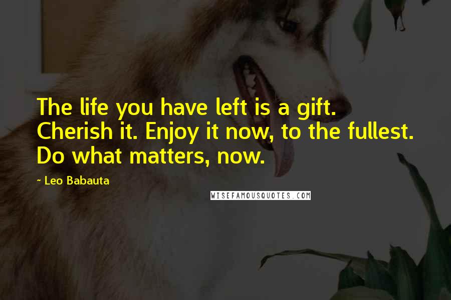 Leo Babauta Quotes: The life you have left is a gift. Cherish it. Enjoy it now, to the fullest. Do what matters, now.