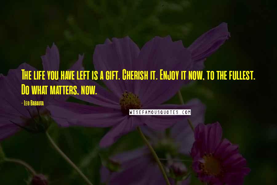 Leo Babauta Quotes: The life you have left is a gift. Cherish it. Enjoy it now, to the fullest. Do what matters, now.
