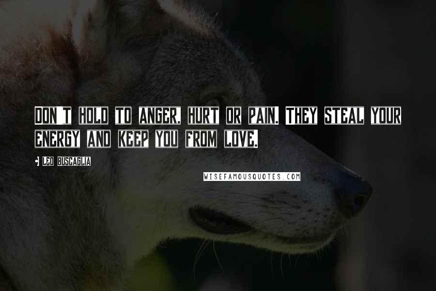 Leo Buscaglia Quotes: Don't hold to anger, hurt or pain. They steal your energy and keep you from love.