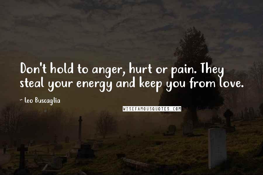 Leo Buscaglia Quotes: Don't hold to anger, hurt or pain. They steal your energy and keep you from love.