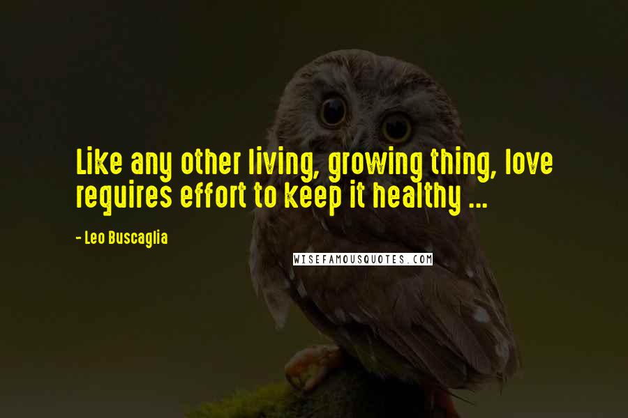 Leo Buscaglia Quotes: Like any other living, growing thing, love requires effort to keep it healthy ...