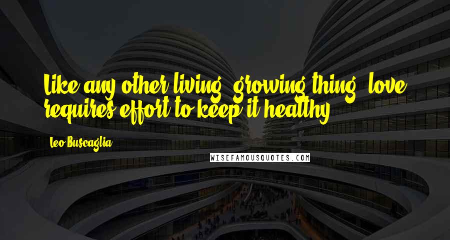 Leo Buscaglia Quotes: Like any other living, growing thing, love requires effort to keep it healthy ...