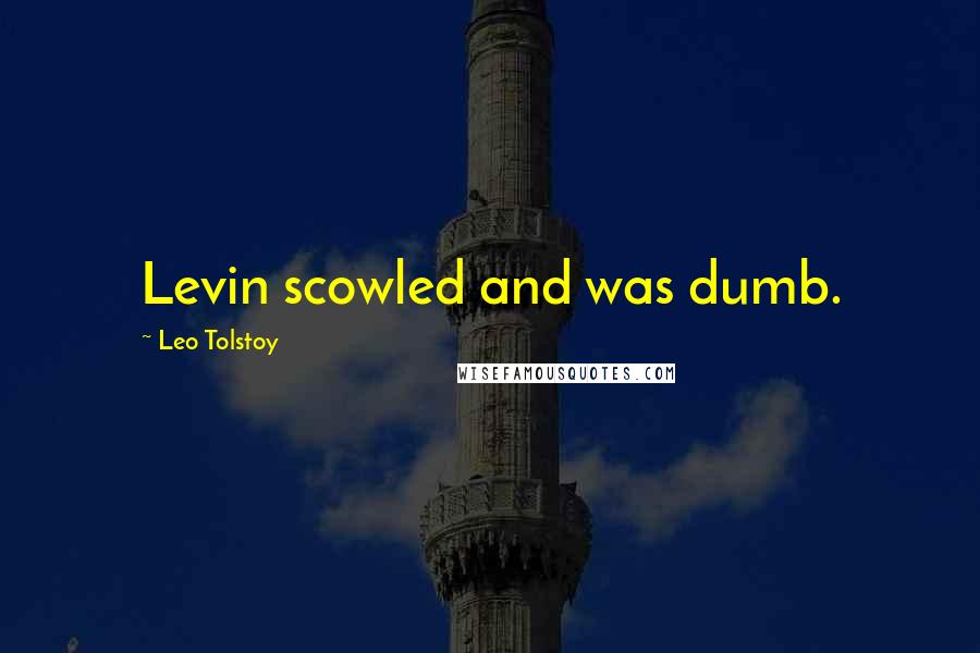 Leo Tolstoy Quotes: Levin scowled and was dumb.
