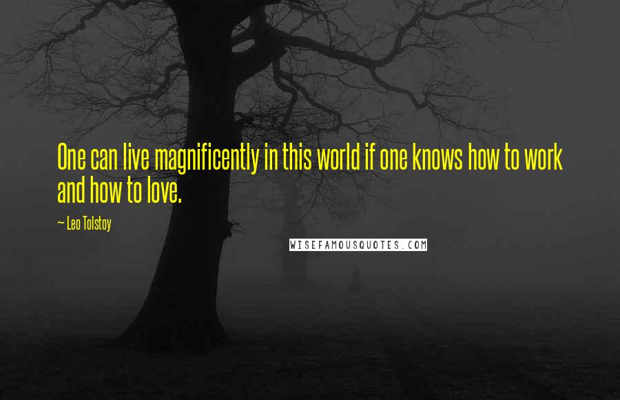 Leo Tolstoy Quotes: One can live magnificently in this world if one knows how to work and how to love.