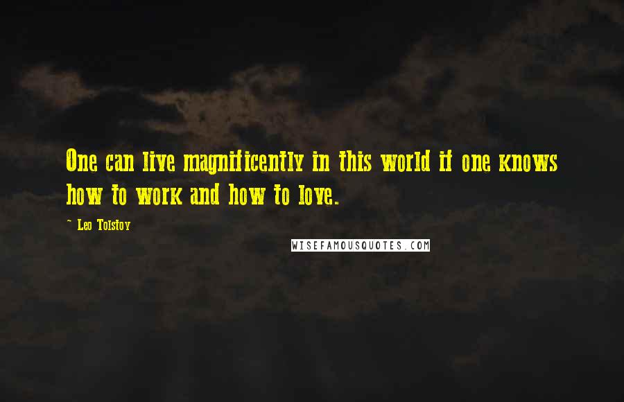 Leo Tolstoy Quotes: One can live magnificently in this world if one knows how to work and how to love.