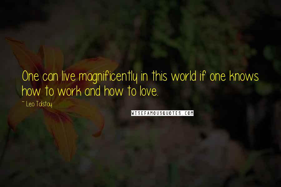 Leo Tolstoy Quotes: One can live magnificently in this world if one knows how to work and how to love.