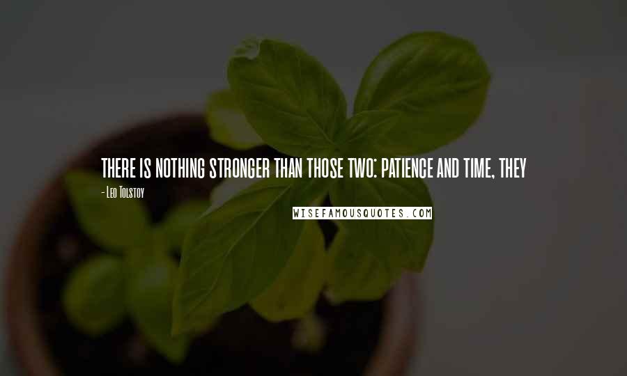 Leo Tolstoy Quotes: there is nothing stronger than those two: patience and time, they