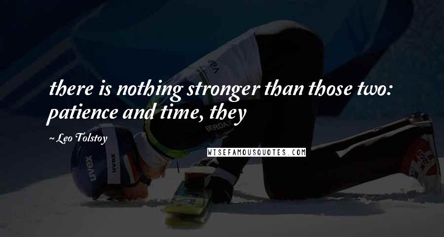 Leo Tolstoy Quotes: there is nothing stronger than those two: patience and time, they