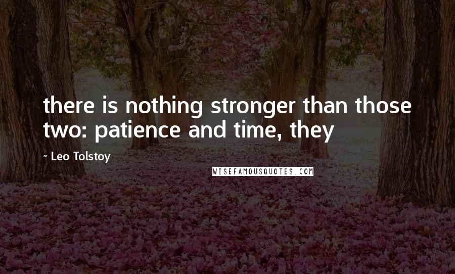 Leo Tolstoy Quotes: there is nothing stronger than those two: patience and time, they