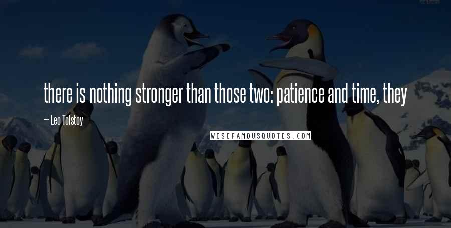 Leo Tolstoy Quotes: there is nothing stronger than those two: patience and time, they