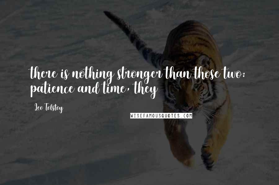 Leo Tolstoy Quotes: there is nothing stronger than those two: patience and time, they