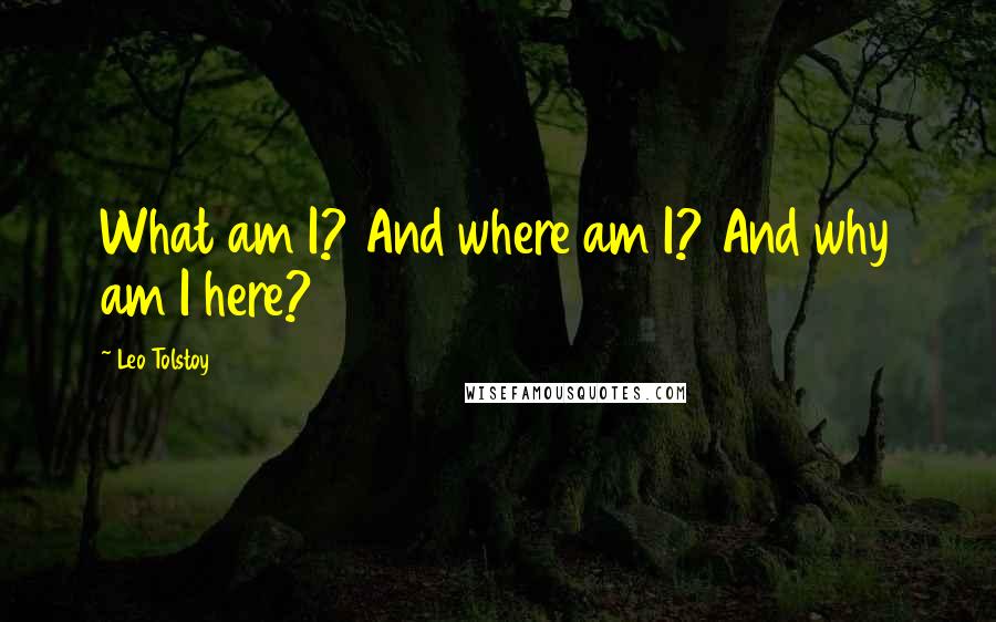 Leo Tolstoy Quotes: What am I? And where am I? And why am I here?