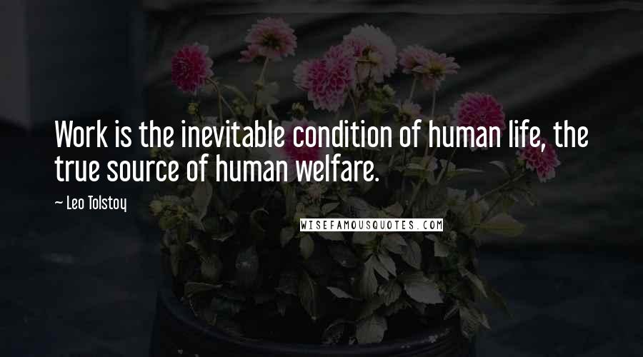 Leo Tolstoy Quotes: Work is the inevitable condition of human life, the true source of human welfare.