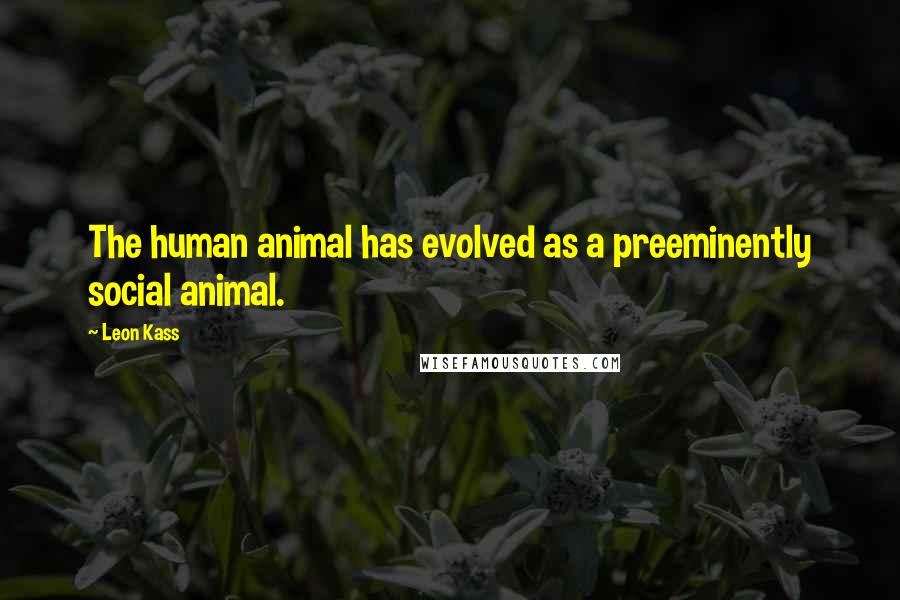 Leon Kass Quotes: The human animal has evolved as a preeminently social animal.