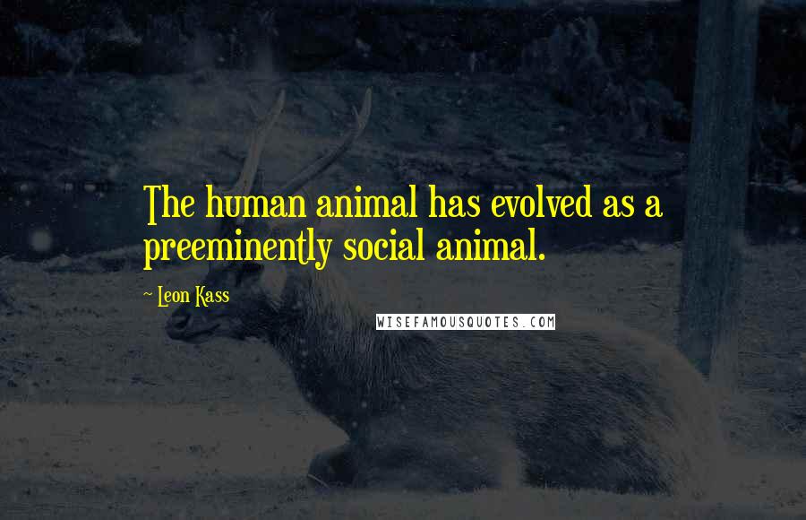 Leon Kass Quotes: The human animal has evolved as a preeminently social animal.