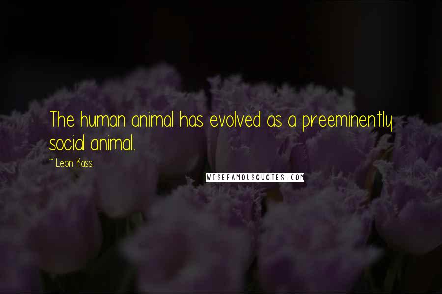 Leon Kass Quotes: The human animal has evolved as a preeminently social animal.