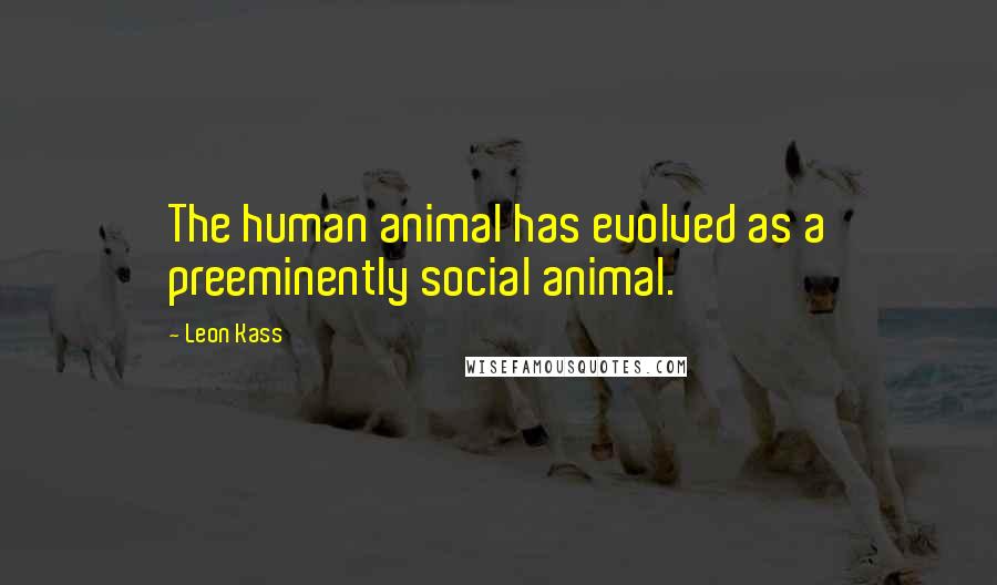 Leon Kass Quotes: The human animal has evolved as a preeminently social animal.
