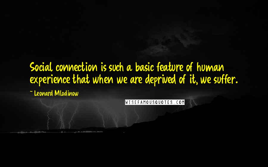 Leonard Mlodinow Quotes: Social connection is such a basic feature of human experience that when we are deprived of it, we suffer.