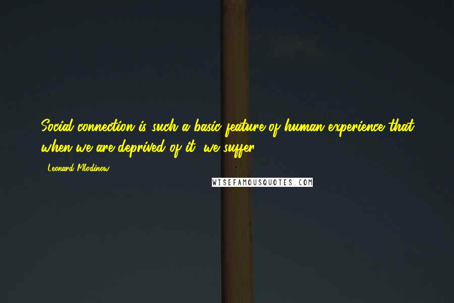 Leonard Mlodinow Quotes: Social connection is such a basic feature of human experience that when we are deprived of it, we suffer.