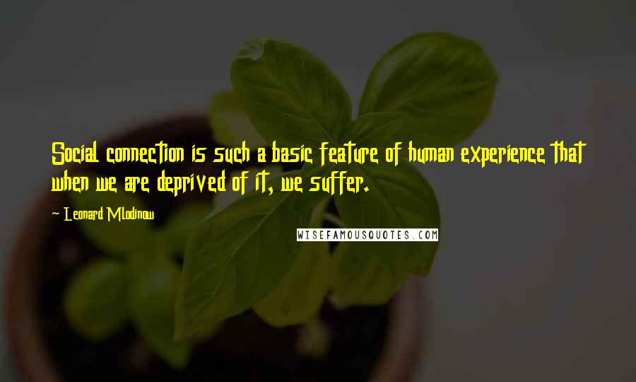 Leonard Mlodinow Quotes: Social connection is such a basic feature of human experience that when we are deprived of it, we suffer.