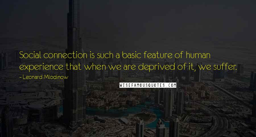 Leonard Mlodinow Quotes: Social connection is such a basic feature of human experience that when we are deprived of it, we suffer.