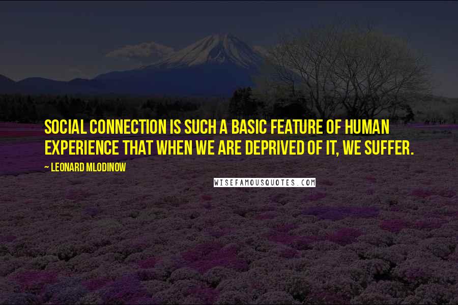 Leonard Mlodinow Quotes: Social connection is such a basic feature of human experience that when we are deprived of it, we suffer.