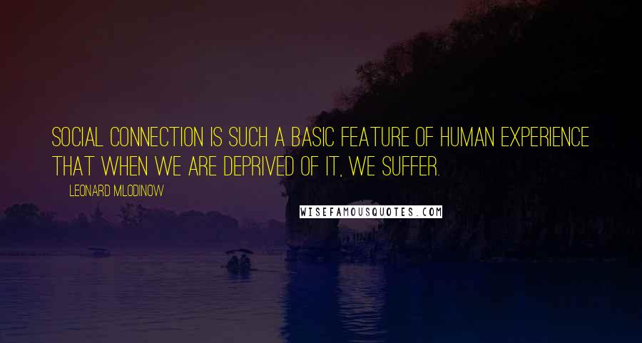 Leonard Mlodinow Quotes: Social connection is such a basic feature of human experience that when we are deprived of it, we suffer.