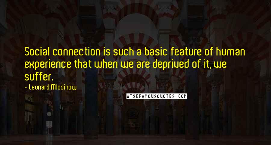 Leonard Mlodinow Quotes: Social connection is such a basic feature of human experience that when we are deprived of it, we suffer.