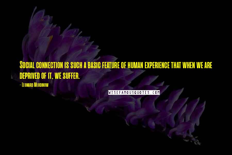 Leonard Mlodinow Quotes: Social connection is such a basic feature of human experience that when we are deprived of it, we suffer.