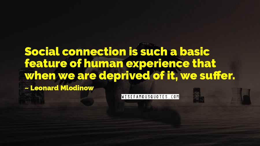 Leonard Mlodinow Quotes: Social connection is such a basic feature of human experience that when we are deprived of it, we suffer.