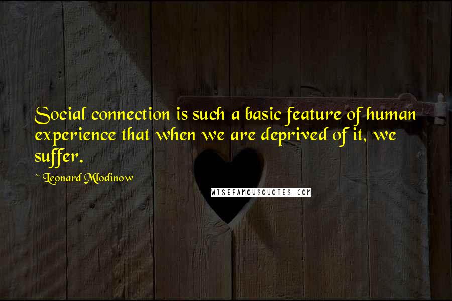 Leonard Mlodinow Quotes: Social connection is such a basic feature of human experience that when we are deprived of it, we suffer.